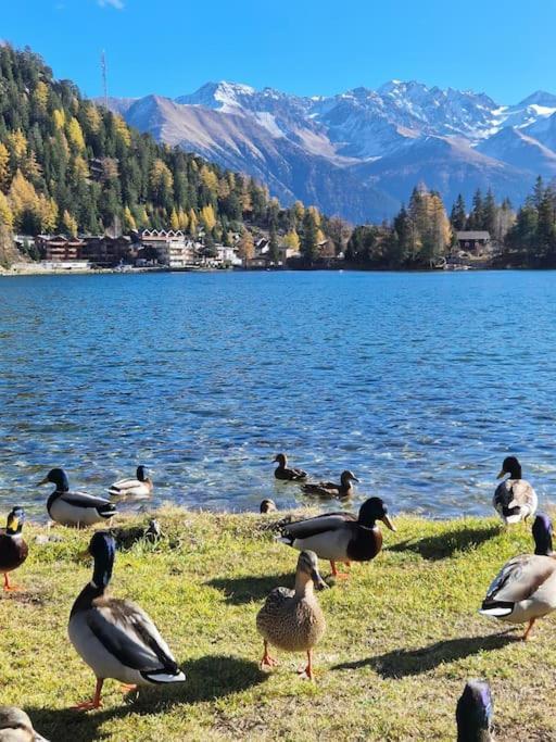 Superbe Appartement Champex-Lac Avec Piscine Et Sauna Luaran gambar